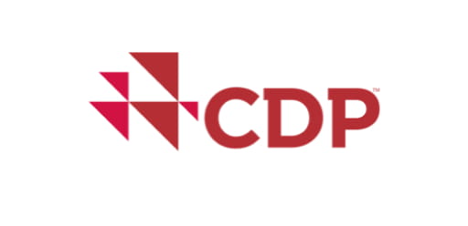 CDP logo