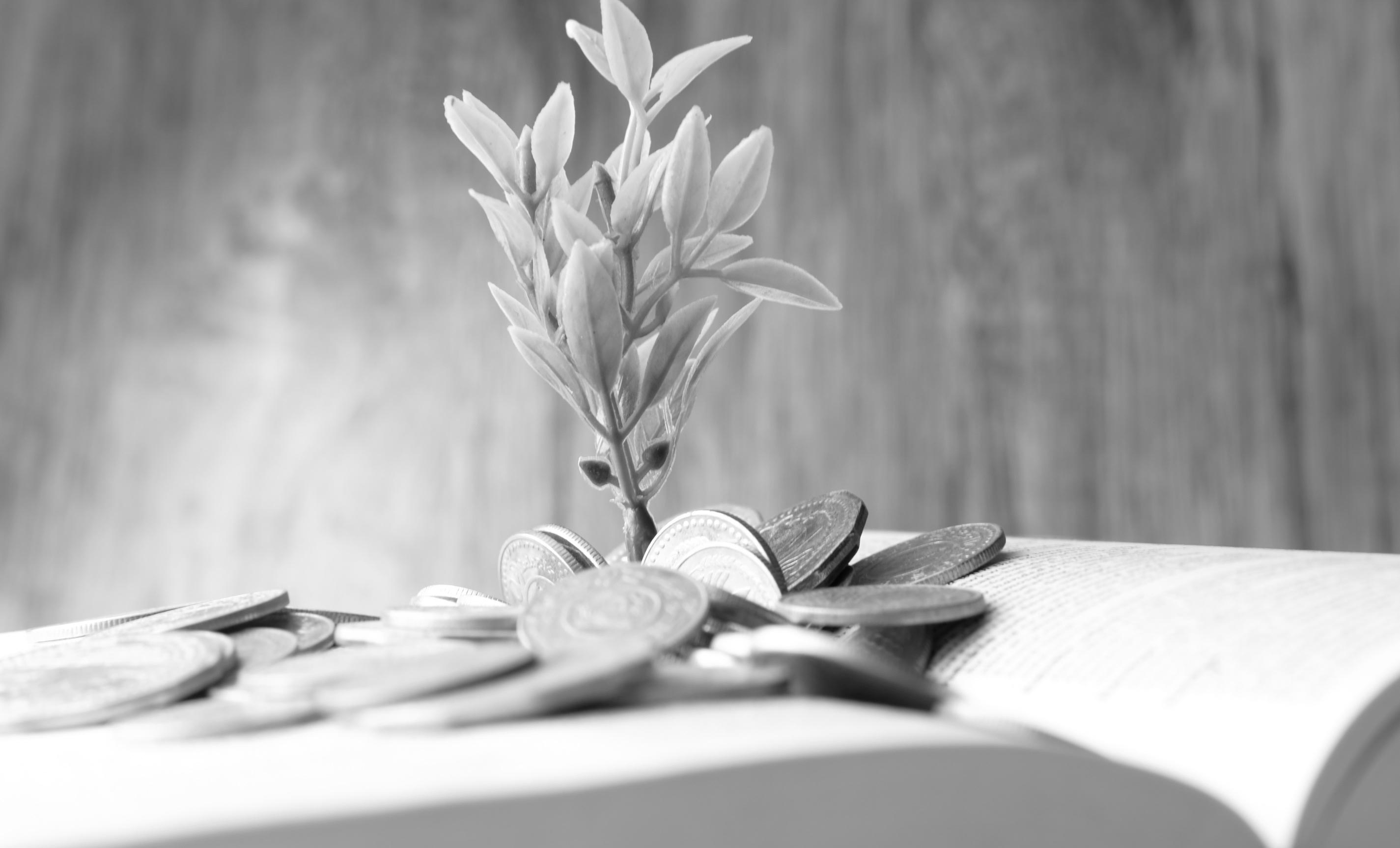 sustainable finance