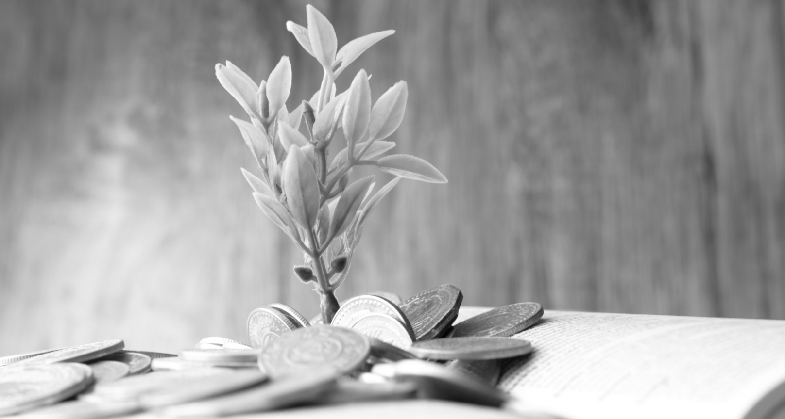 sustainable finance