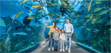 Dubai Aquarium
